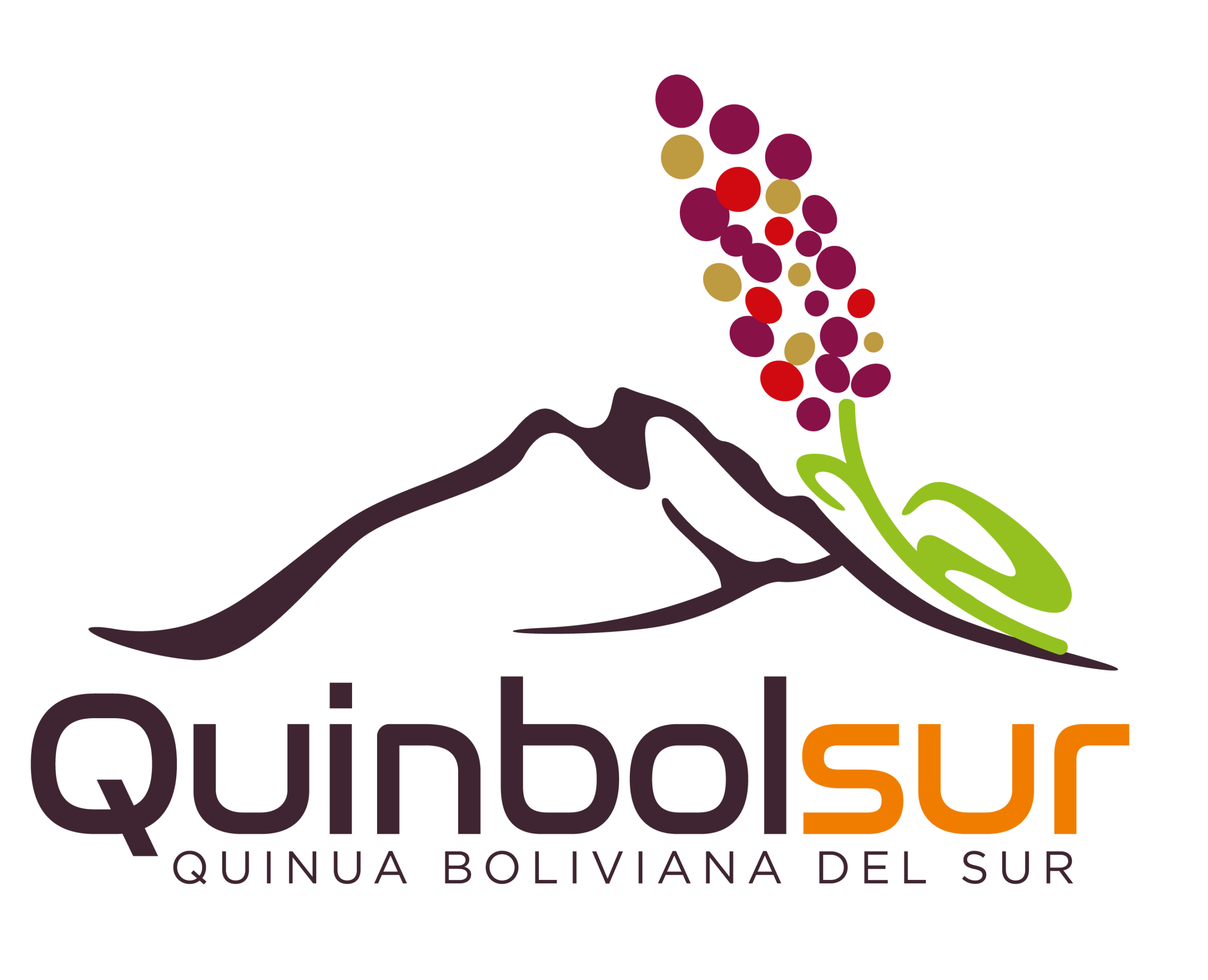 Quinbolsur